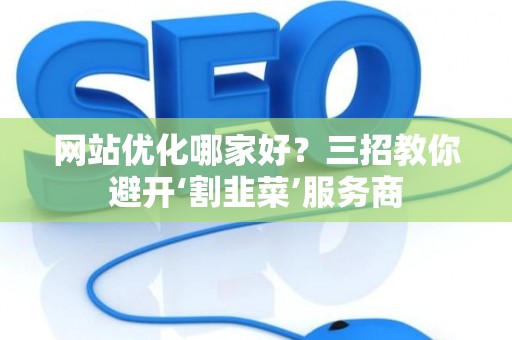 网站优化哪家好？三招教你避开‘割韭菜’服务商