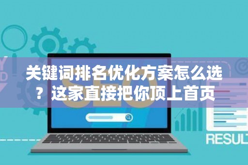 关键词排名优化方案怎么选？这家直接把你顶上首页