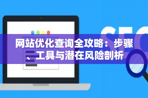 网站优化查询全攻略：步骤、工具与潜在风险剖析