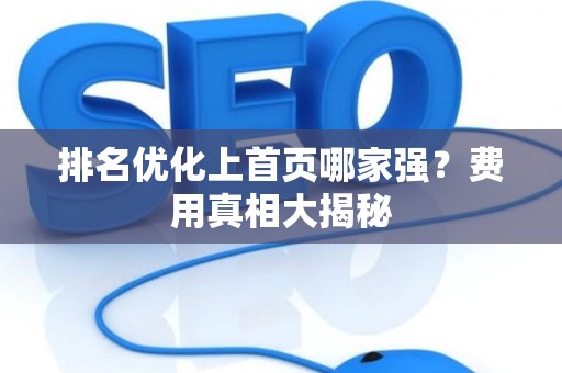 排名优化上首页哪家强?费用真相大揭秘 排名优化上首页哪家强?费用真相大揭秘