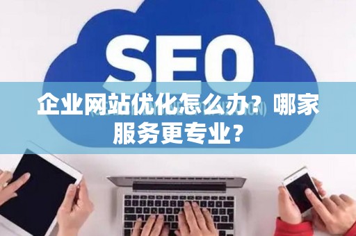 企业网站优化怎么办？哪家服务更专业？