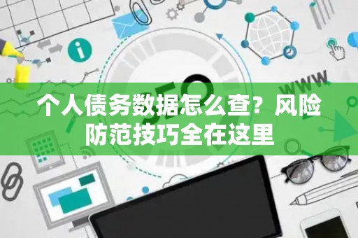 个人债务数据怎么查？风险防范技巧全在这里