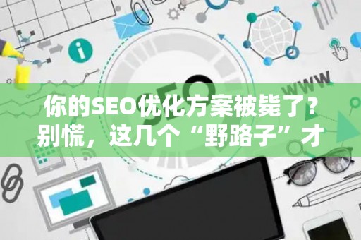 你的SEO优化方案被毙了？别慌，这几个“野路子”才是真套路！
